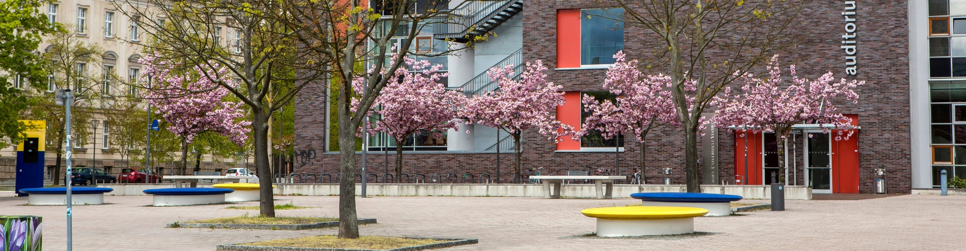 Blick auf den Viadrina Campusplatz im Frühling