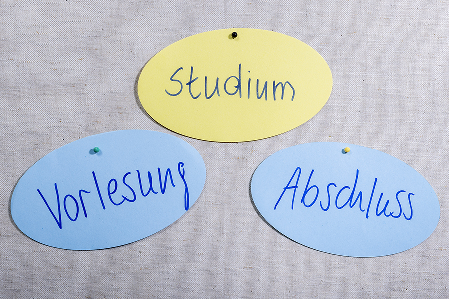 Papierstücke mit Aufschriften: Studium, Vorlesung, Abschluss